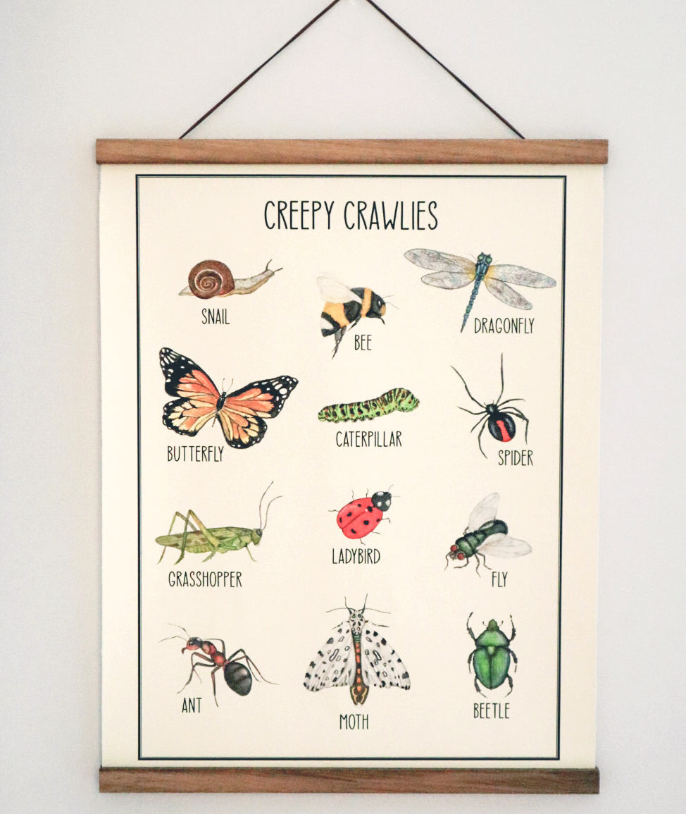 Creepy Crawlies